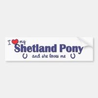 I Liebe mein die Shetlandinseln-Pony (weibliches