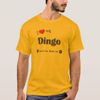 I Liebe mein Dingo (weiblicher Hund)