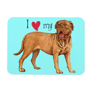 I Liebe mein Dogue de Bordeaux Magnet