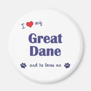 I Liebe mein großer Däne (männlicher Hund) Magnet