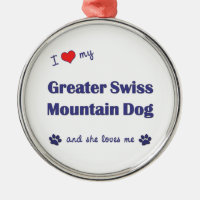 I Liebe mein größerer Schweizer Gebirgshund