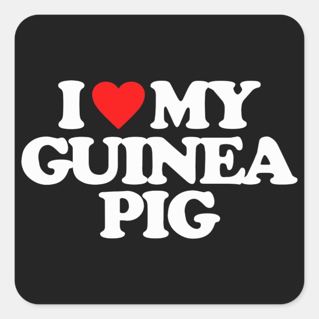 I LIEBE MEIN GUINEA SCHWEIN QUADRATISCHER AUFKLEBER (Vorderseite)