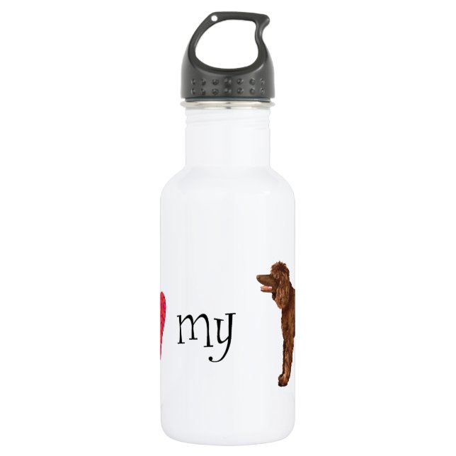 I Liebe mein irisches WasserSpaniel Trinkflasche (Vorderseite)