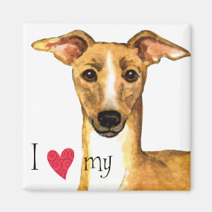 I Liebe mein italienischer Windhund Magnet