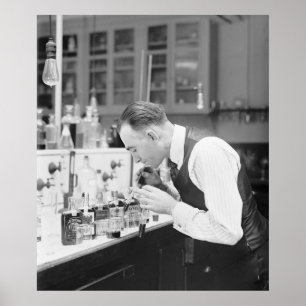 I Liebe mein Job: 1920 Poster