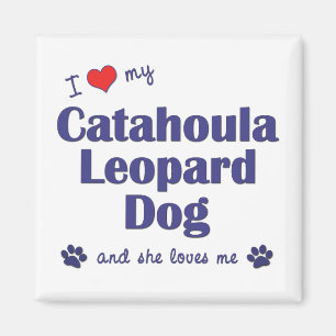 I Liebe Mein Katahoula Leopard Hund (Weiblicher Hu Magnet