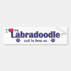 I Liebe mein Labradoodle (männlicher Hund) Autoaufkleber