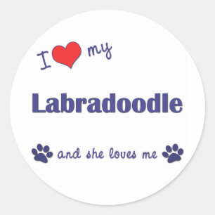 I Liebe mein Labradoodle (weiblicher Hund) Runder Aufkleber