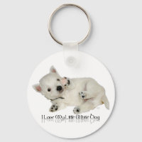 I Liebe mein LIttle White Dog - Westie Welpe