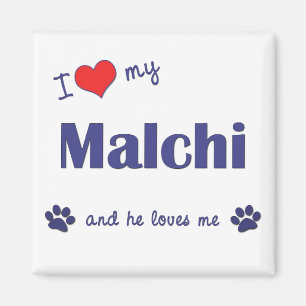 I Liebe mein Malchi (männlicher Hund) Magnet