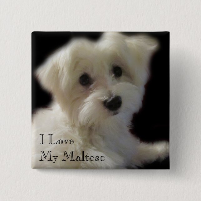I Liebe mein maltesischer Knopf Button (Vorderseite)