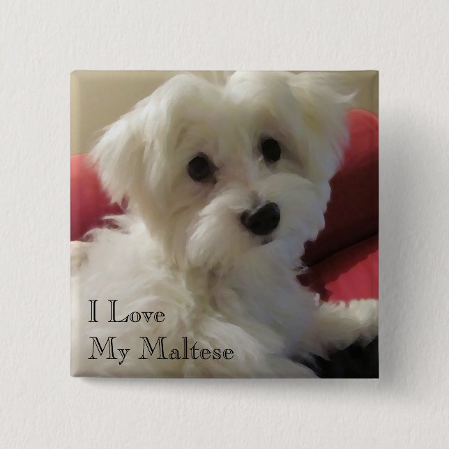 I Liebe mein maltesischer Knopf Button (Vorderseite)