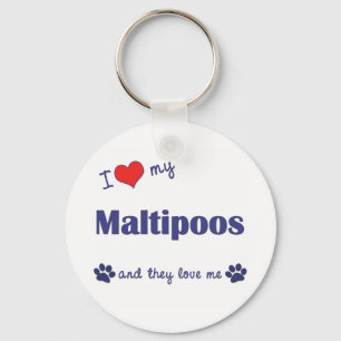 I Liebe mein Maltipoos (mehrfache Hunde) Schlüsselanhänger