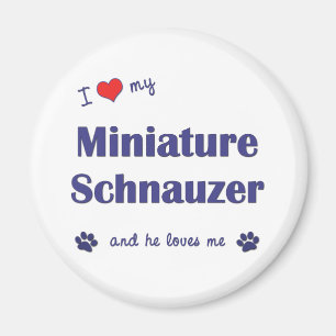 I Liebe mein MiniaturSchnauzer (männlicher Hund) Magnet