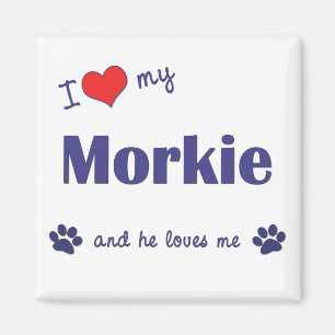 I Liebe mein Morkie (männlicher Hund) Magnet
