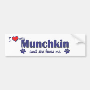 I Liebe mein Munchkin (weibliche Katze) Autoaufkleber