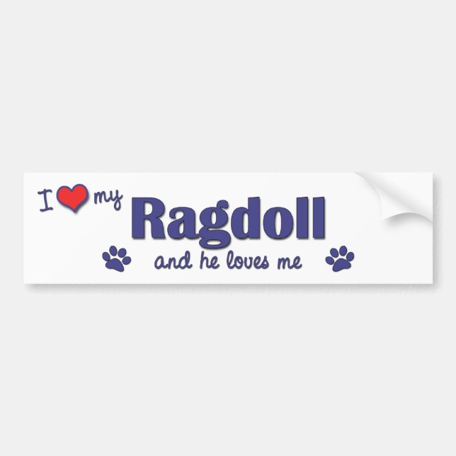 I Liebe mein Ragdoll (männliche Katze) Autoaufkleber (Vorne)