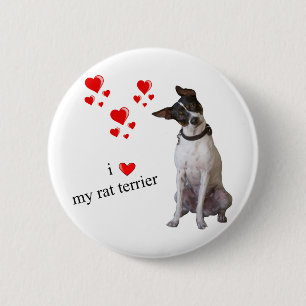 I Liebe mein Ratten-Terrier Button