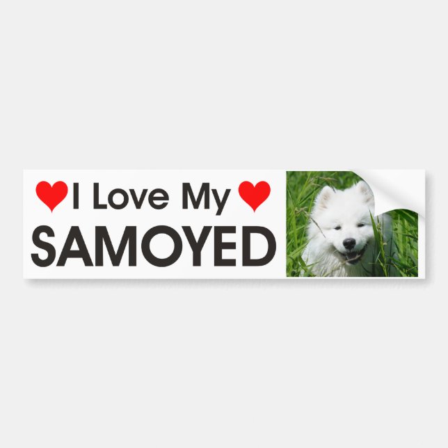 I Liebe mein Samoyed-Autoaufkleber Autoaufkleber (Vorne)