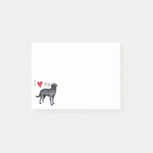 I Liebe mein schwarzer Labrador Post-it Klebezettel