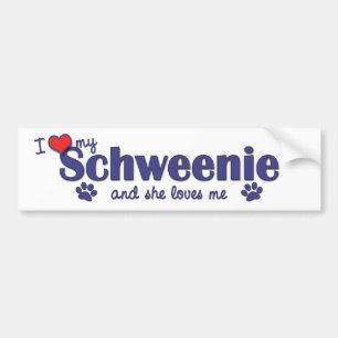 I Liebe mein Schweenie (weiblicher Hund) Autoaufkleber