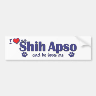 I Liebe mein Shih Apso (männlicher Hund) Autoaufkleber