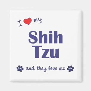 I Liebe mein Shih Tzu (mehrfache Hunde) Magnet