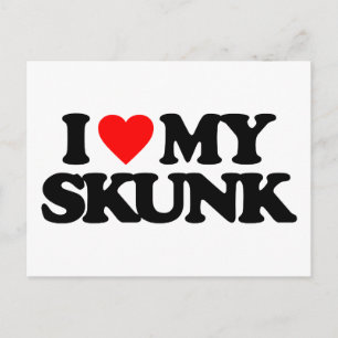 I LIEBE MEIN SKUNK POSTKARTE