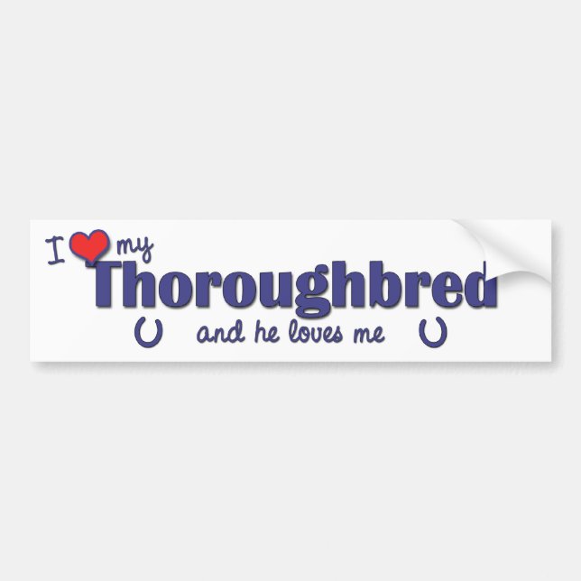 I Liebe mein Thoroughbred (männliches Pferd) Autoaufkleber (Vorne)