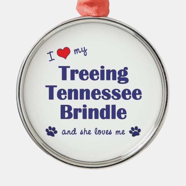 I Liebe mein Treeing Tennessee Brindle (weiblicher Silbernes Ornament (Vorne)