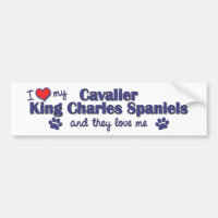 I Liebe mein unbekümmerter König Charles