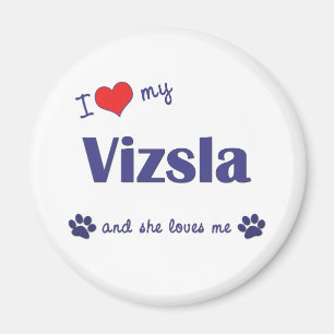 I Liebe mein Vizsla (weiblicher Hund) Magnet