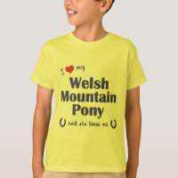 I Liebe mein Waliser-Gebirgspony (weibliches Pony)