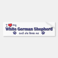 I Liebe mein weißer Schäferhund (weiblicher Hund)