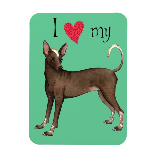 I Liebe mein Xolo Magnet (Vertikal)