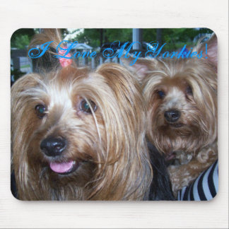 I Liebe mein Yorkies Mousepad