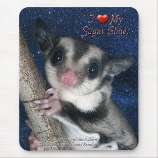 I Liebe mein Zuckersegelflugzeug - niedlichste Mousepad