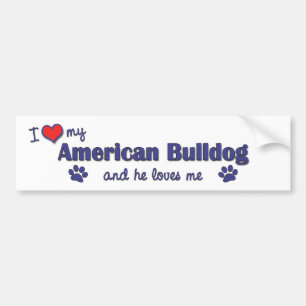 I Liebe meine amerikanische Bulldogge (männlicher Autoaufkleber