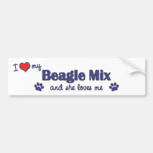 I Liebe meine Beagle-Mischung (weiblicher Hund) Autoaufkleber
