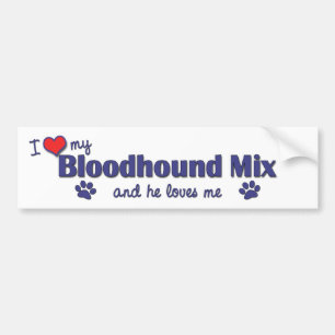 I Liebe meine Bluthund-Mischung (männlicher Hund) Autoaufkleber