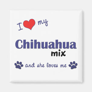 I Liebe meine Chihuahua-Mischung (weiblicher Hund) Magnet