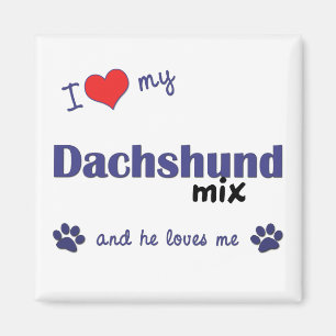 I Liebe meine Dackel-Mischung (männlicher Hund) Magnet