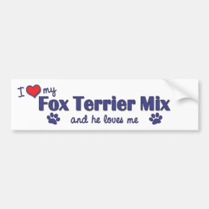 I Liebe meine Fox-Terrier-Mischung (männlicher Autoaufkleber
