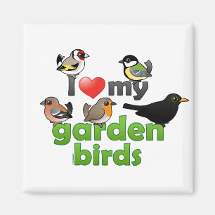 I Liebe meine Garten-Vögel Magnet