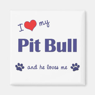 I Liebe meine Grube Stier (männlicher Hund) Magnet