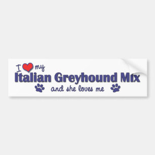 I Liebe meine italienischer Windhund-Mischung Autoaufkleber