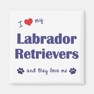 I Liebe meine Labrador-Retriever (mehrfache Hunde) Magnet