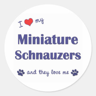 I Liebe meine MiniaturSchnauzers (mehrfache Hunde) Runder Aufkleber