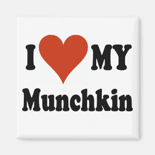 I Liebe meine Munchkin Katzen-Geschenke und Kleid Magnet