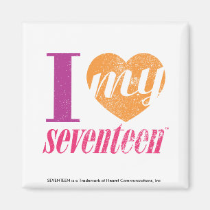 I Liebe meine Orange 17 Magnet